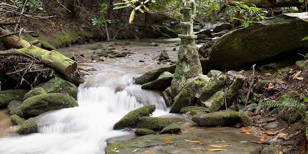 Flowing creek with statue at Earthaven Ecovillage