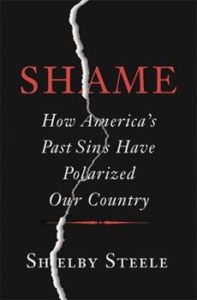 Shame book cover