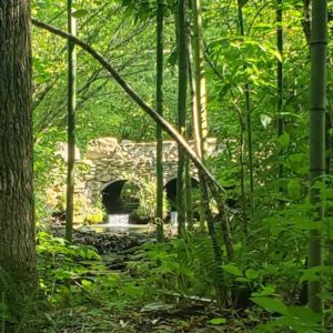 View of the bridge from the swing at the Earthaven Peace Garden